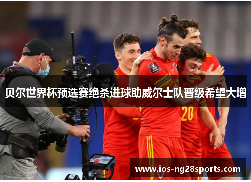 贝尔世界杯预选赛绝杀进球助威尔士队晋级希望大增 贝尔世界杯预选赛绝杀进球助威尔士队晋级希望大增