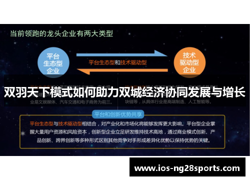 双羽天下模式如何助力双城经济协同发展与增长 双羽天下模式如何助力双城经济协同发展与增长