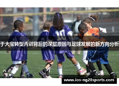于大宝转型青训背后的深层原因与足球发展的新方向分析 于大宝转型青训背后的深层原因与足球发展的新方向分析