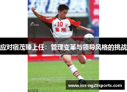 应对宿茂臻上任：管理变革与领导风格的挑战