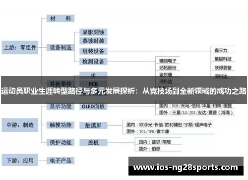 运动员职业生涯转型路径与多元发展探析:从竞技场到全新领域的成功之路 运动员职业生涯转型路径与多元发展探析:从竞技场到全新领域的成功之路