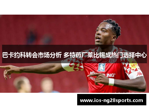 巴卡约科转会市场分析 多特药厂莱比锡成热门选择中心 巴卡约科转会市场分析 多特药厂莱比锡成热门选择中心
