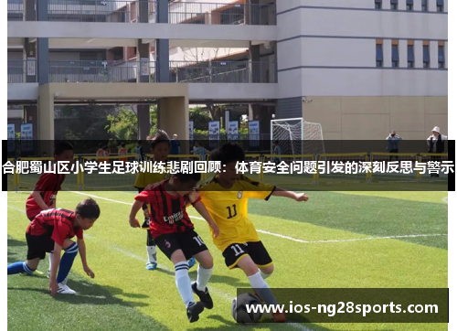 合肥蜀山区小学生足球训练悲剧回顾:体育安全问题引发的深刻反思与警示 合肥蜀山区小学生足球训练悲剧回顾:体育安全问题引发的深刻反思与警示