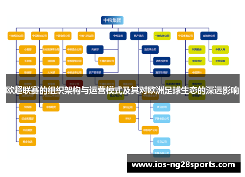 欧超联赛的组织架构与运营模式及其对欧洲足球生态的深远影响 欧超联赛的组织架构与运营模式及其对欧洲足球生态的深远影响